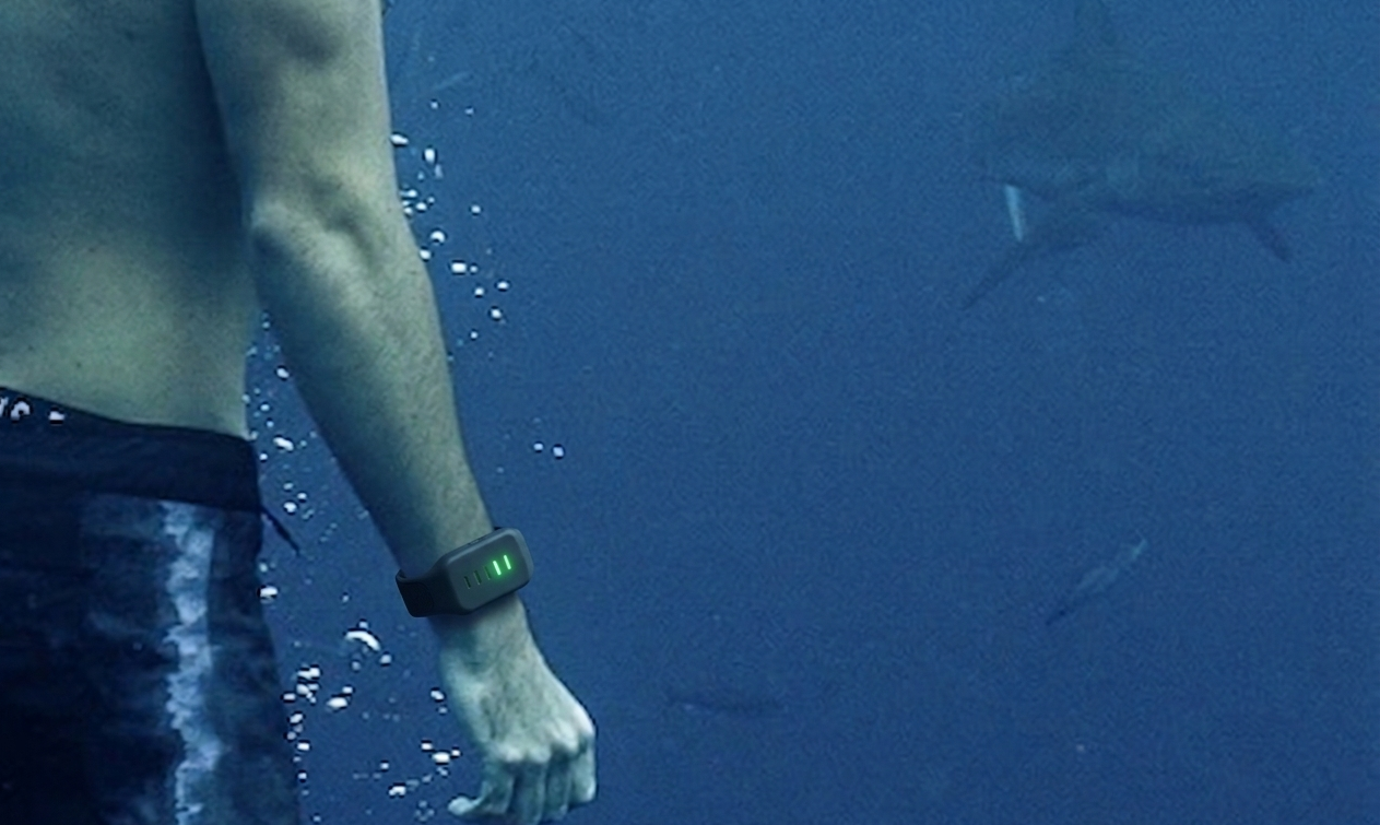 Wear & Dive