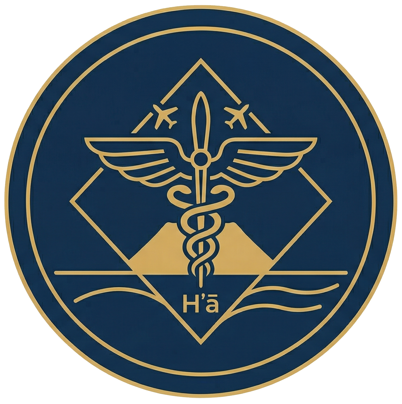 Pacific Aviation Medical Logo