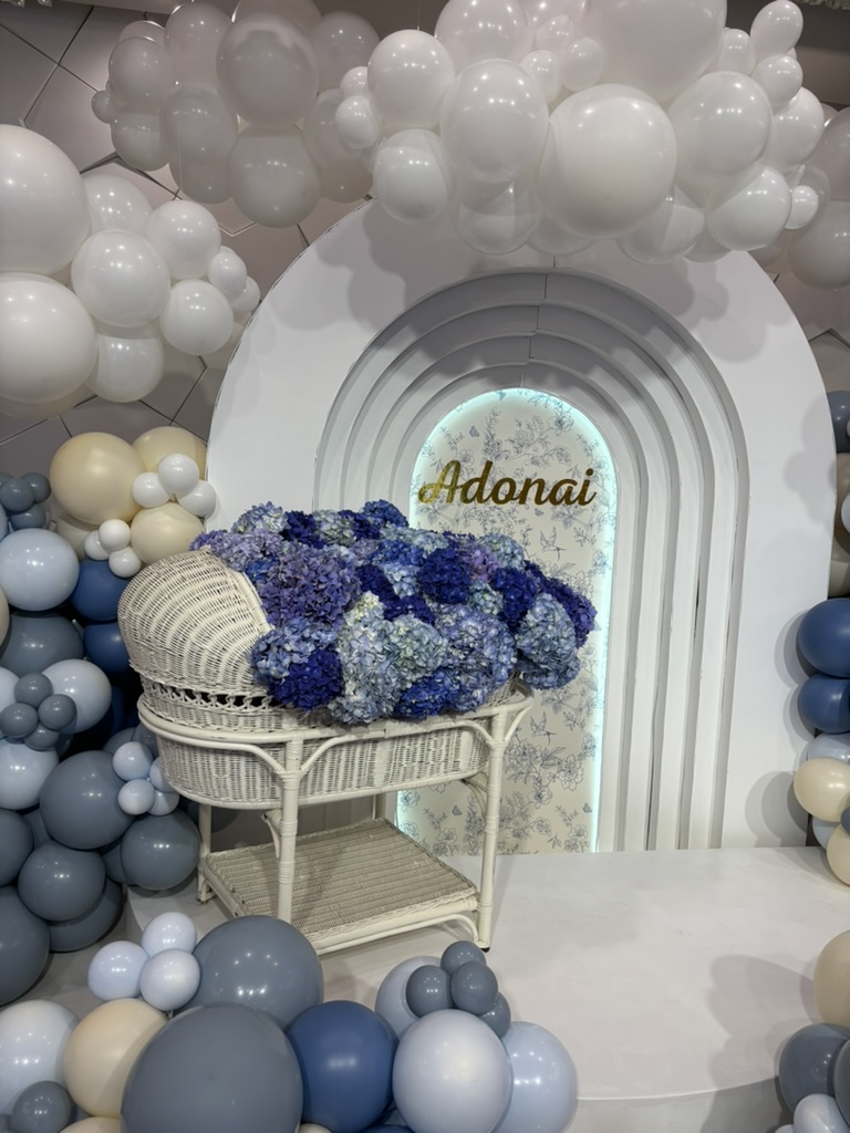 Baby Showers Theme Party Decoration