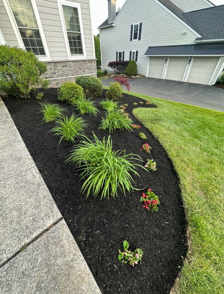 Professional Landscaping Work
