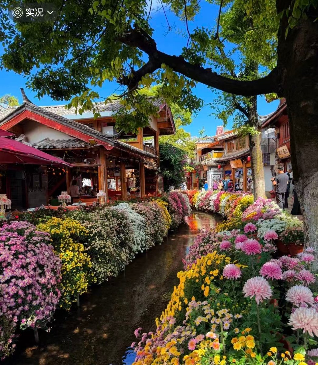 客户真实出行图