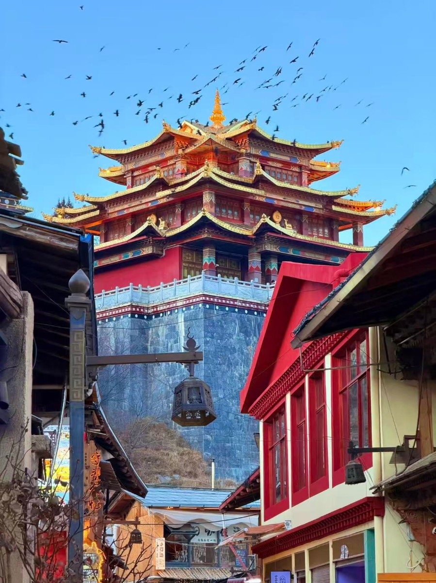 客户真实出行图