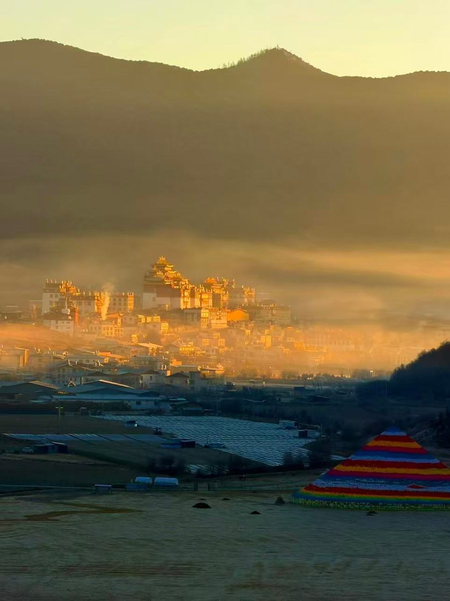 客户真实出行图