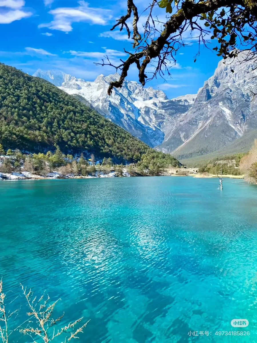 客户真实出行图