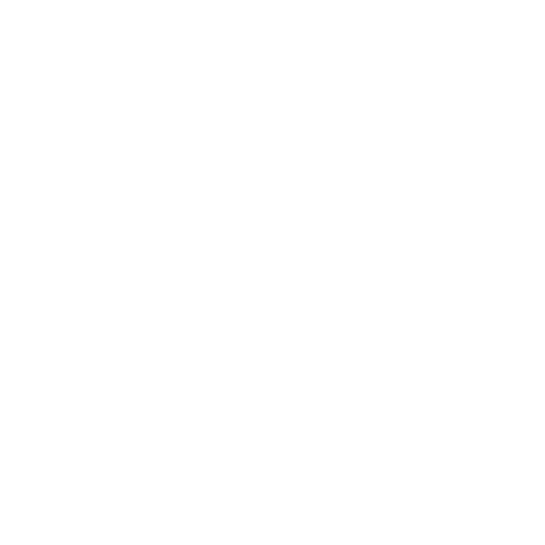 Swiss Token Logo