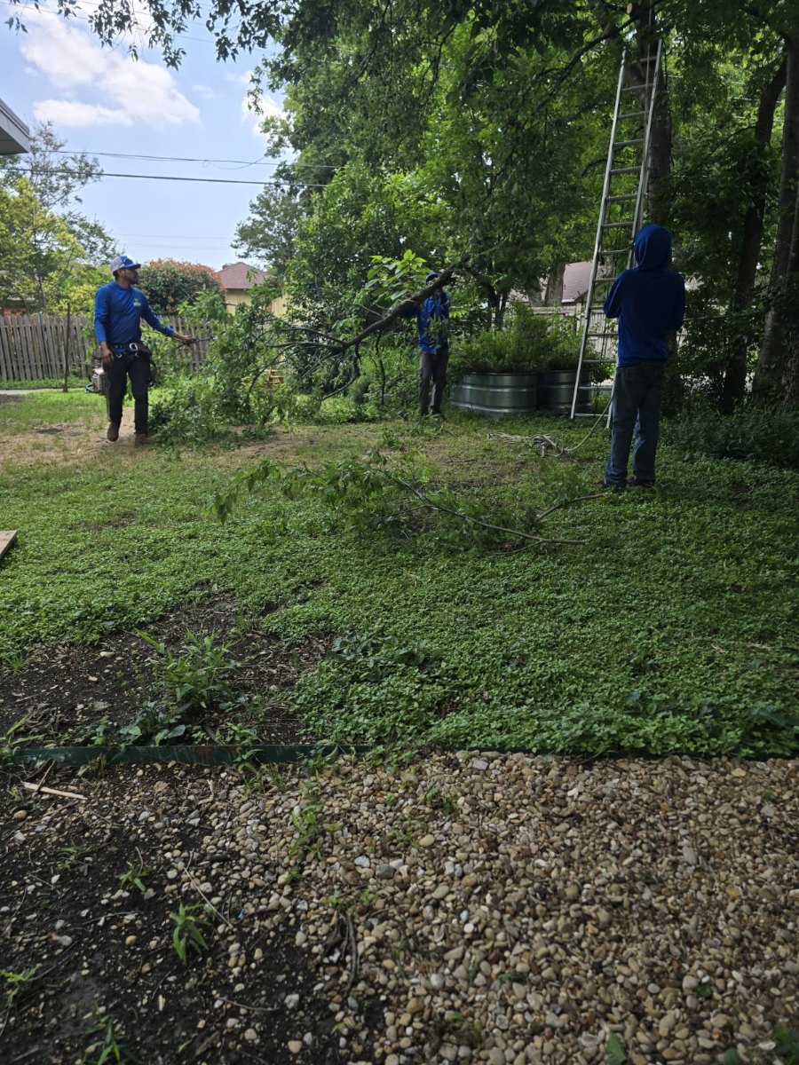 Land Clearing service in Dallas Fort Worth