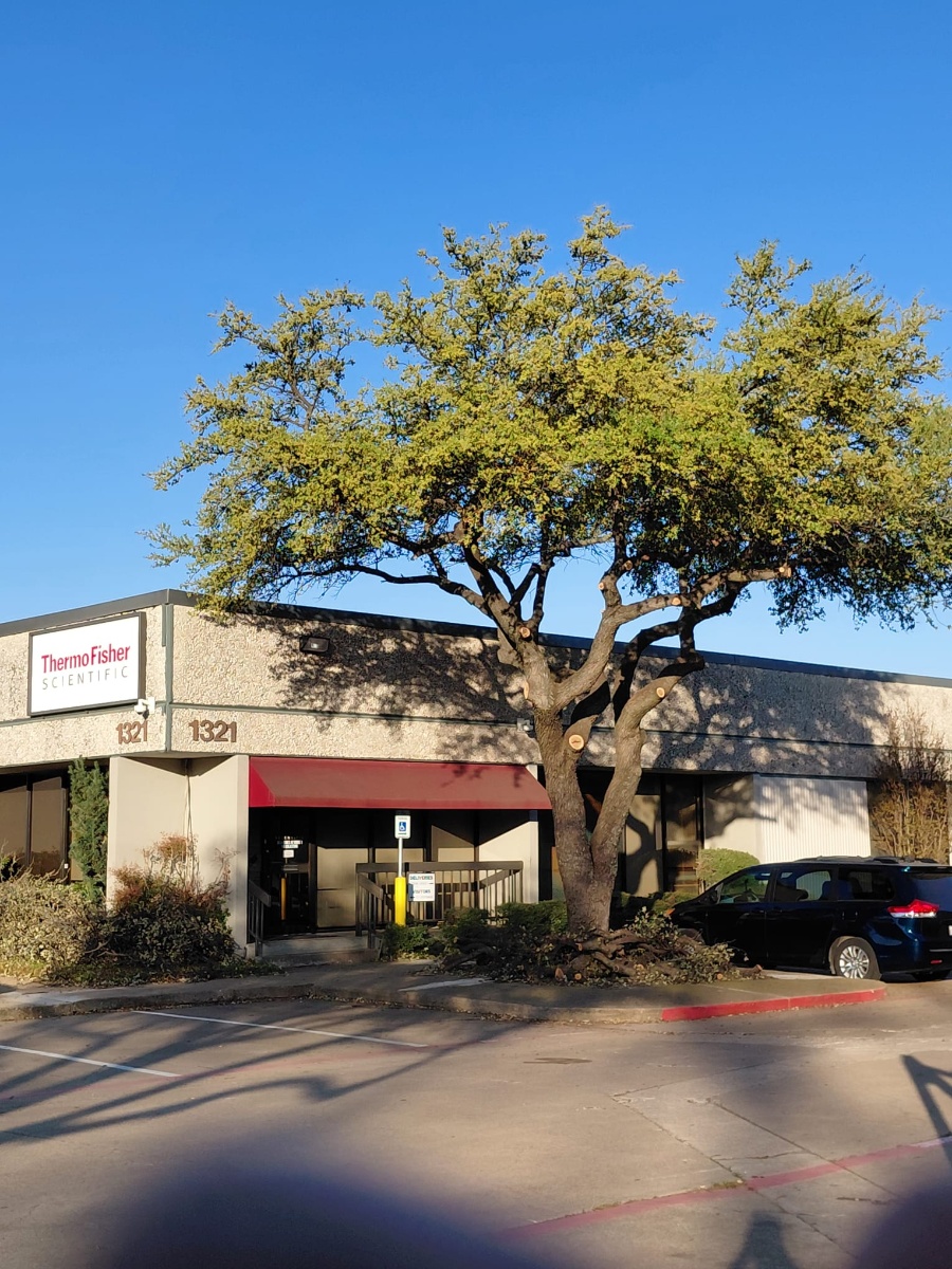 Tree service work in Carrollton TX - professional tree care and debris removal