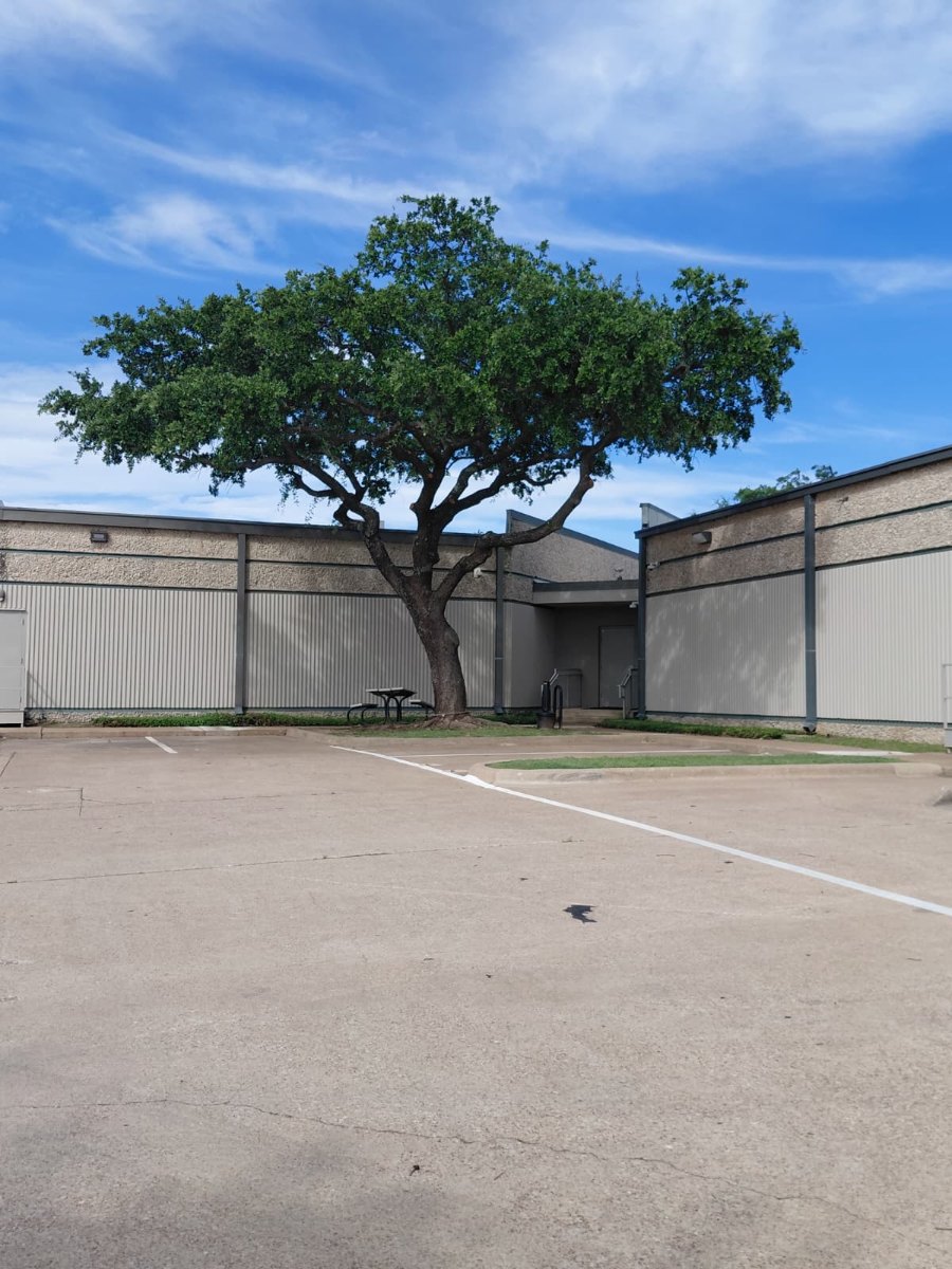 Expert tree service in McKinney TX - tree removal and land clearing crew