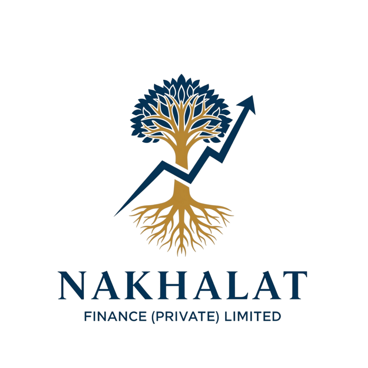 Nakhalat Finance Logo