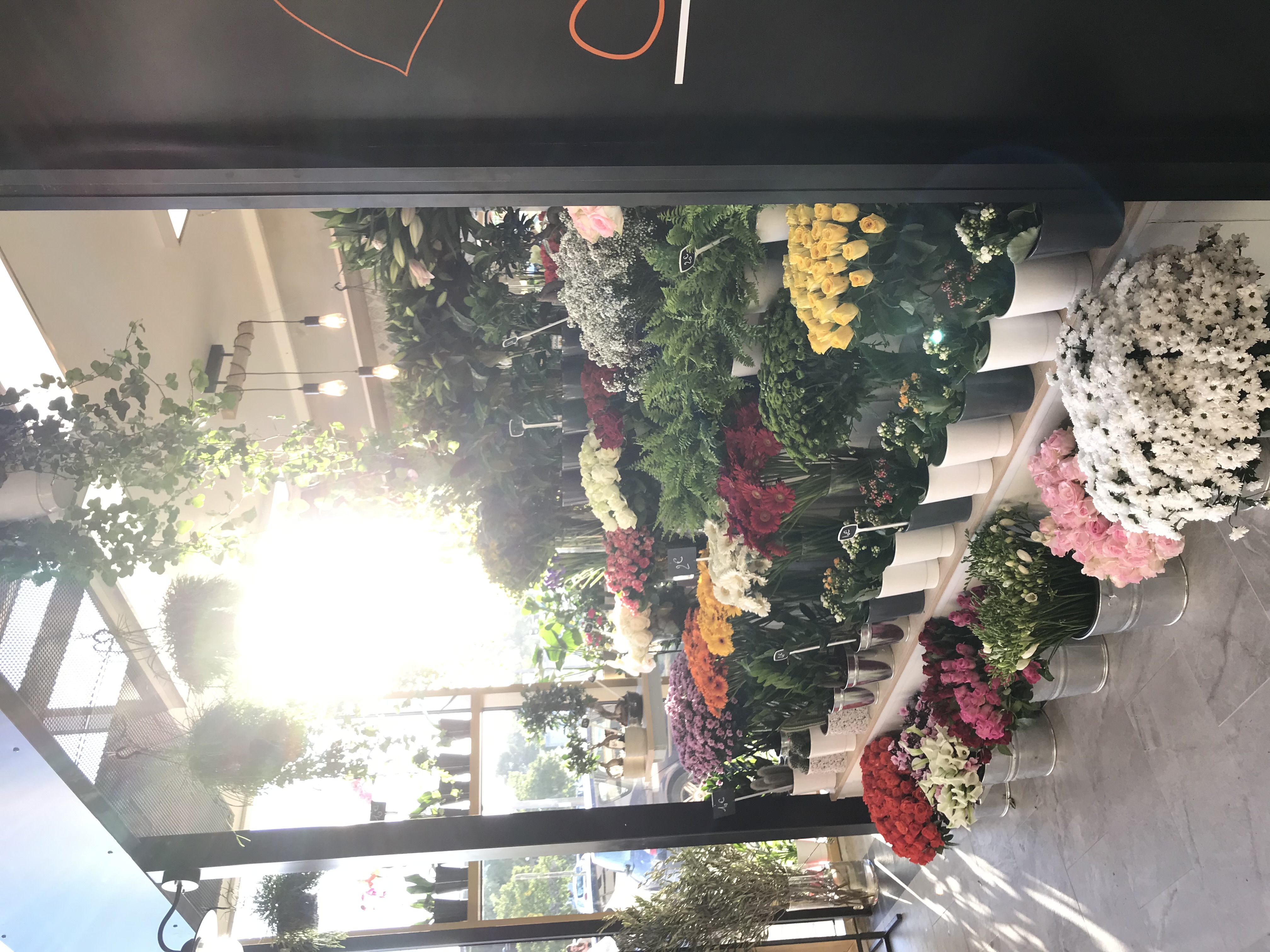 Montpellier Halles Plaza 1