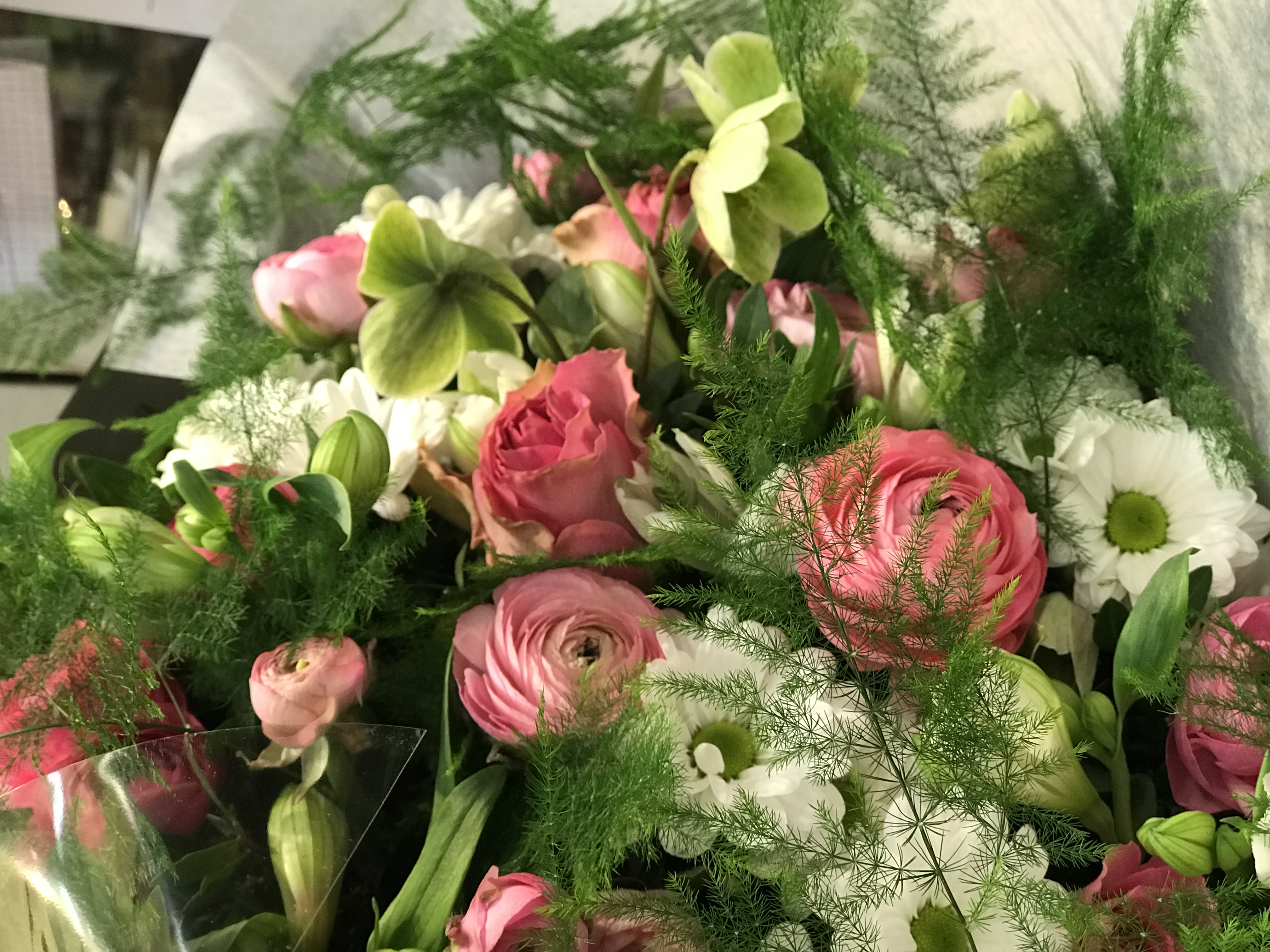 Composition Bordeaux