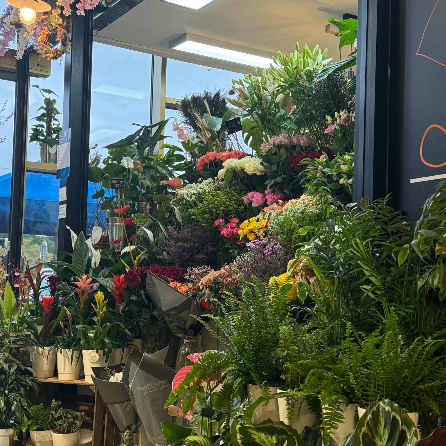 Montpellier Halles Plaza