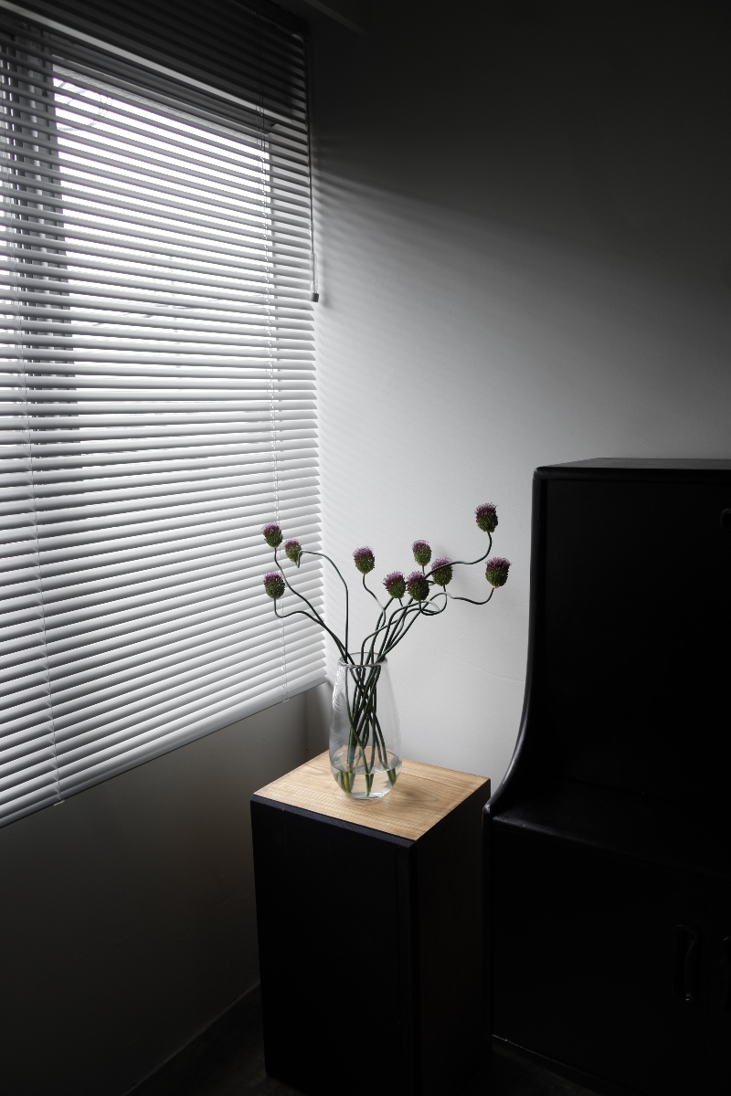 fiord salon interior 1