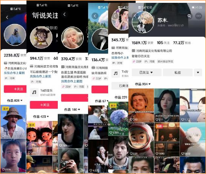 China Short Video Matrix