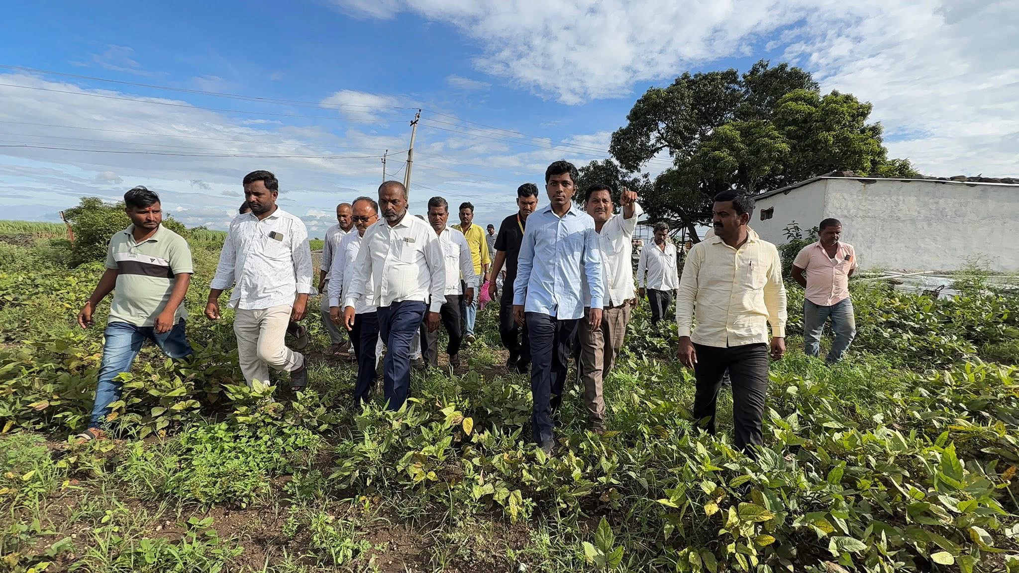 Community Interaction