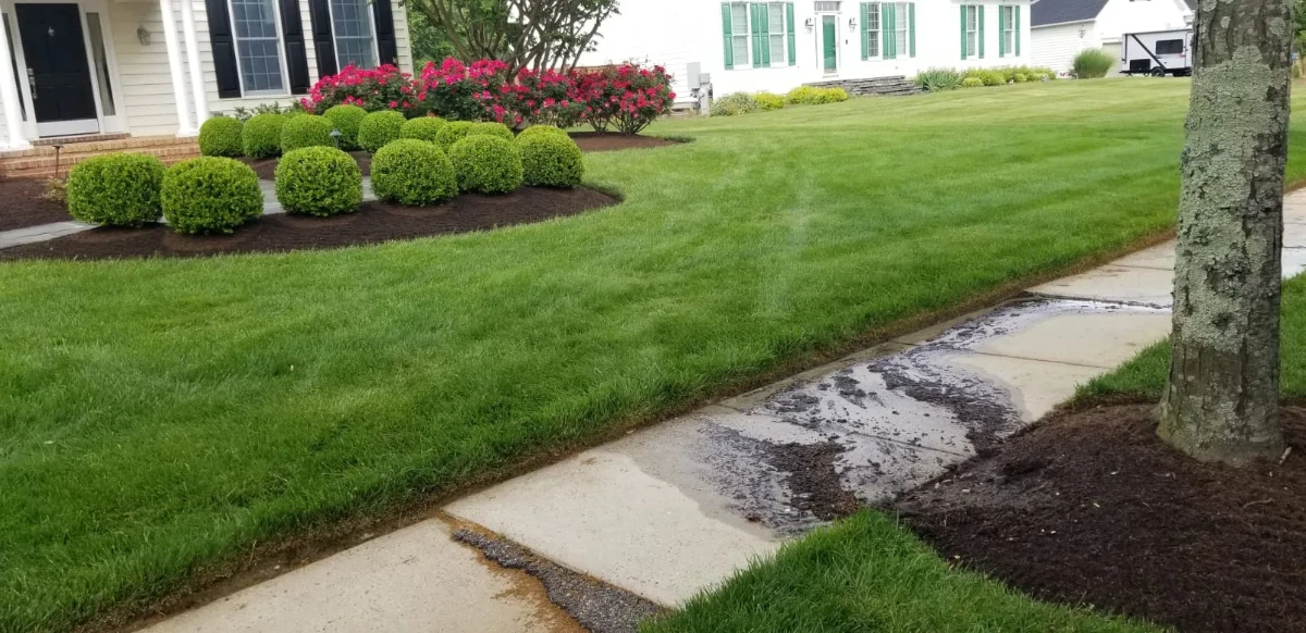 Professional Lawn Care and Landscaping