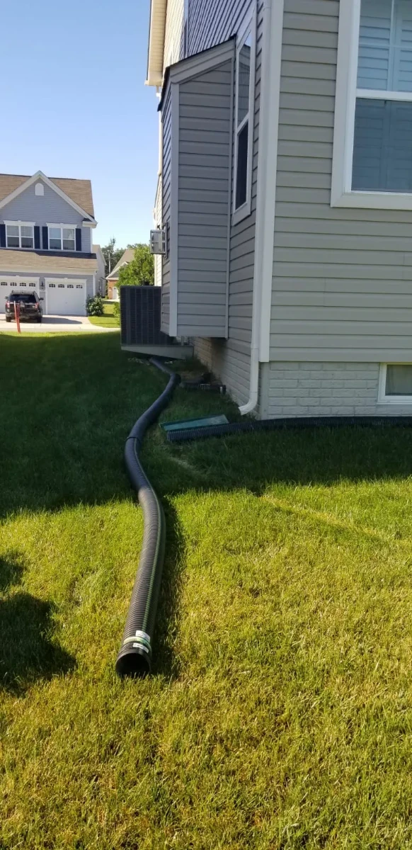 Professional Lawn Services