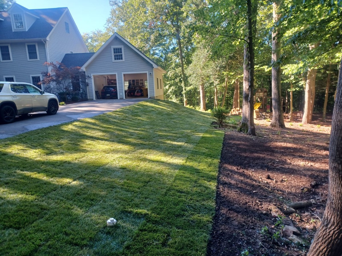 Professional Landscaping Work