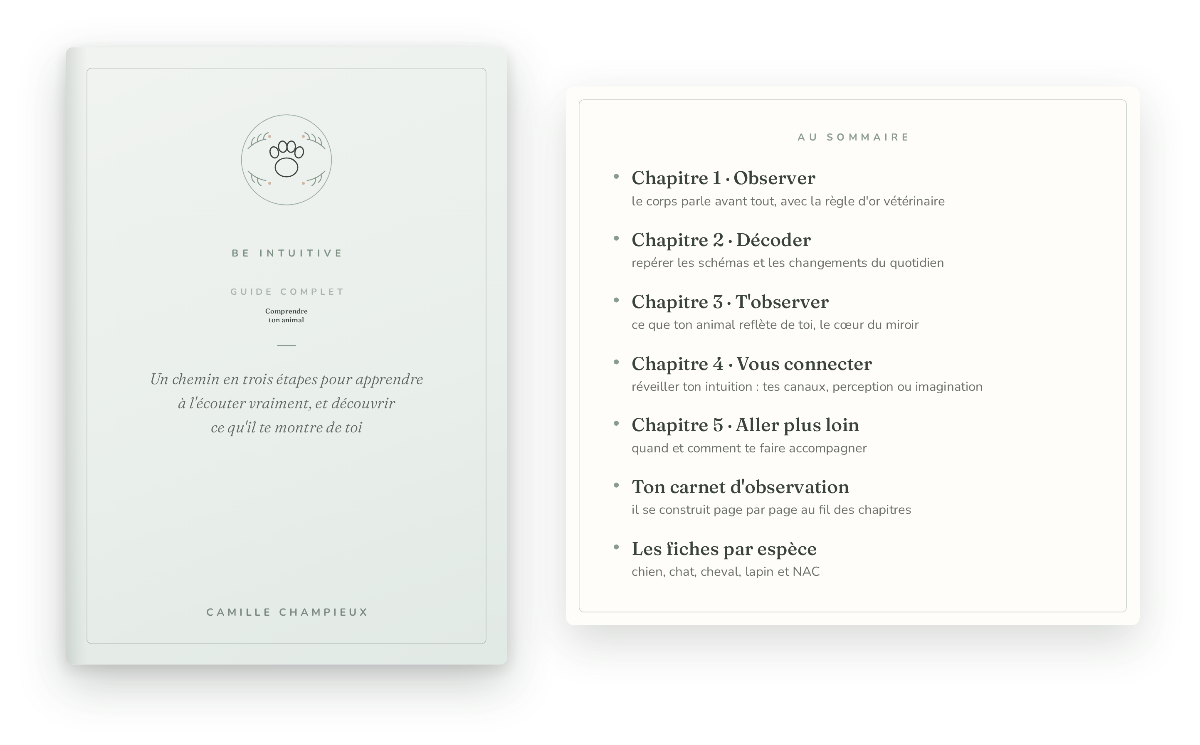 Comprendre ton animal — couverture et sommaire