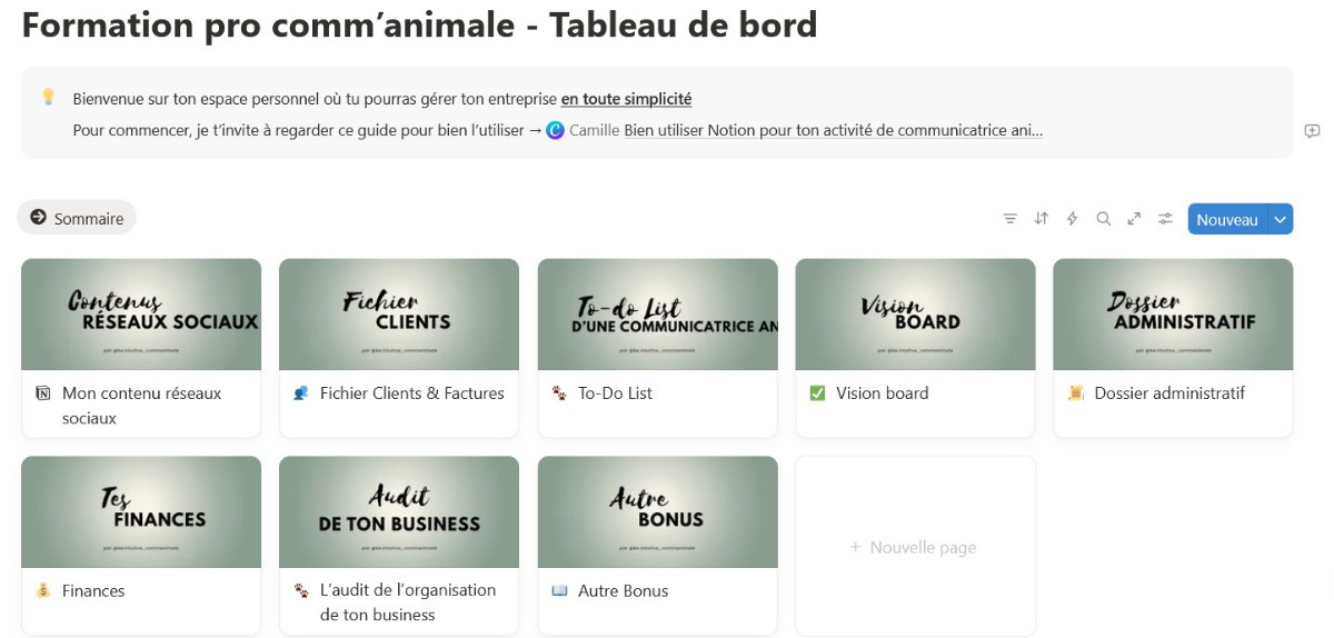 Plateforme Notion pro