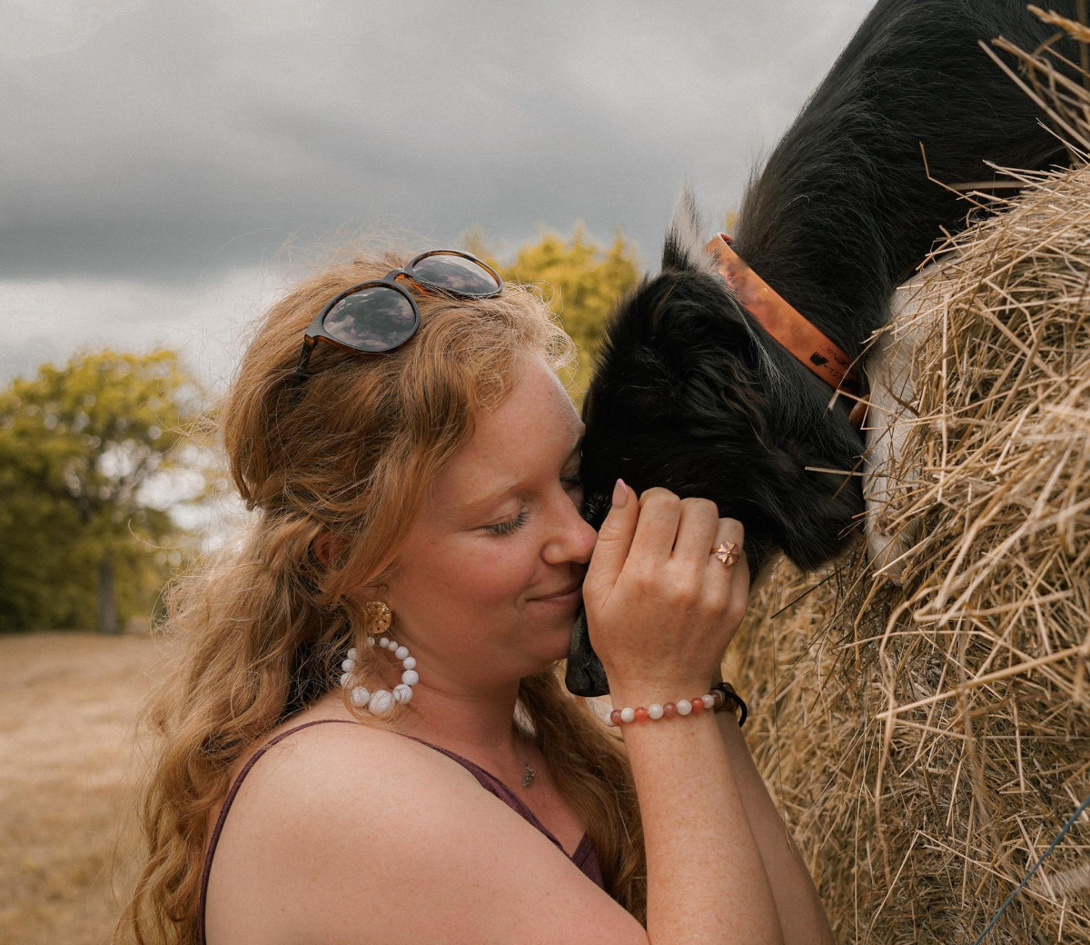 Connexion entre Camille et un animal
