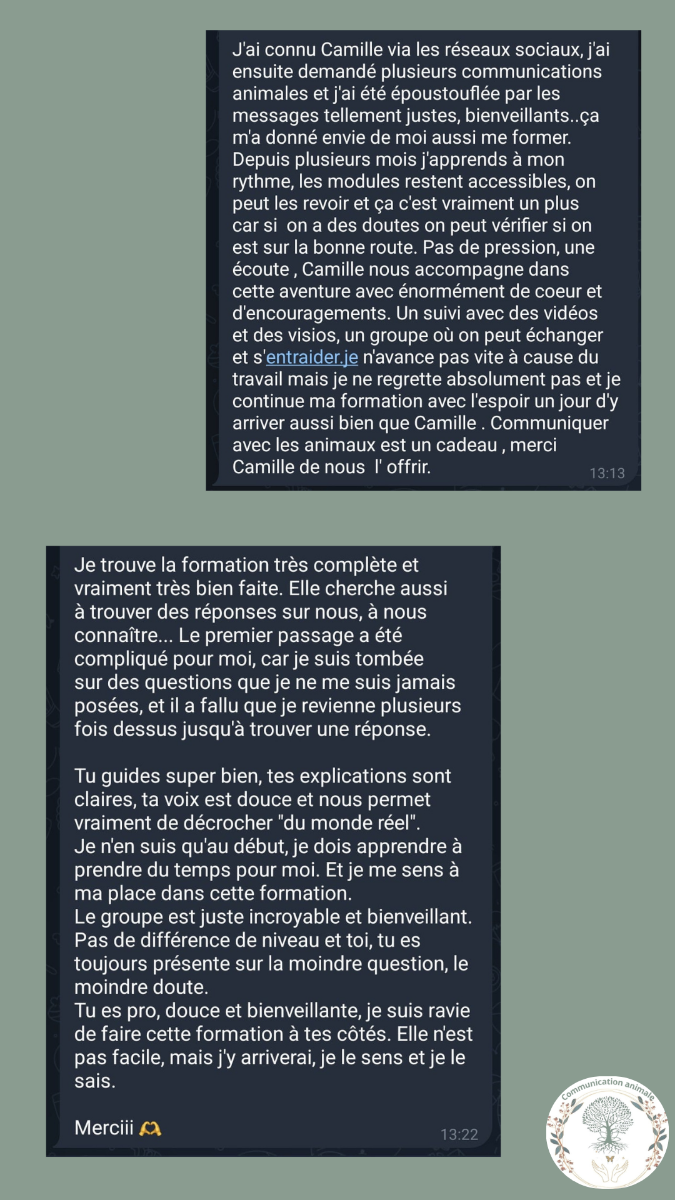Témoignage 4
