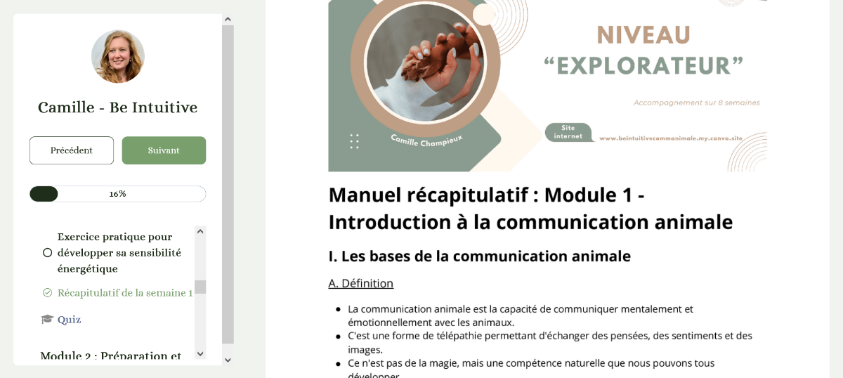 Manuel récapitulatif module 1