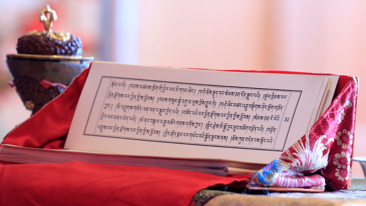 TomB - Enseignant de langue tibétaine