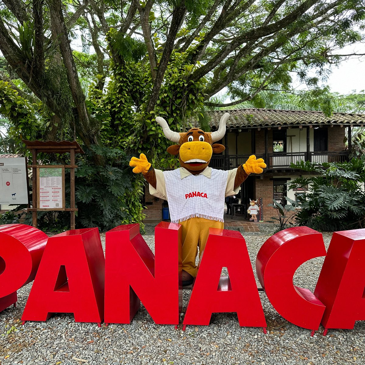 PANACA