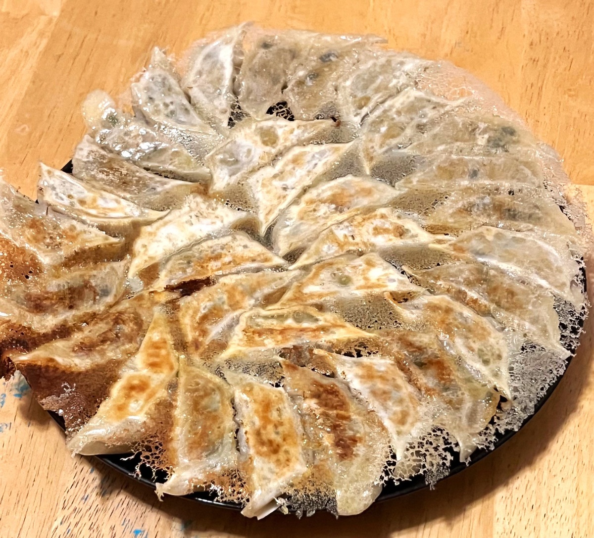 Japanese catering gyoza