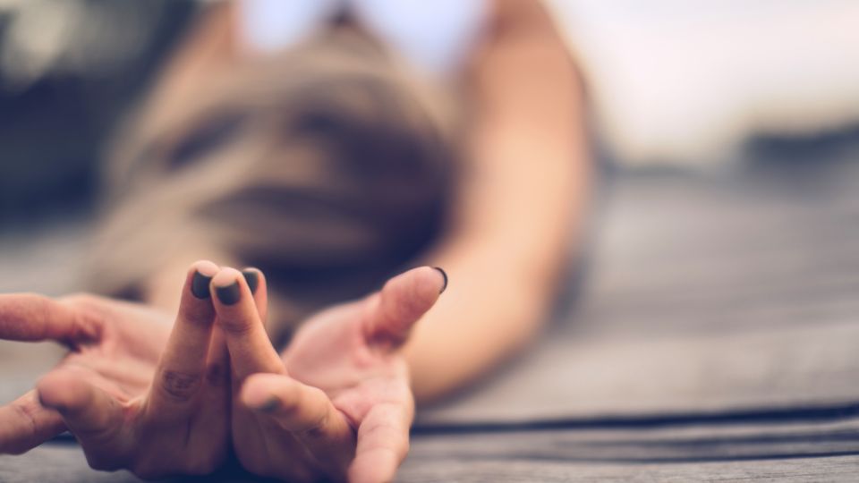 【デモンストレーション】