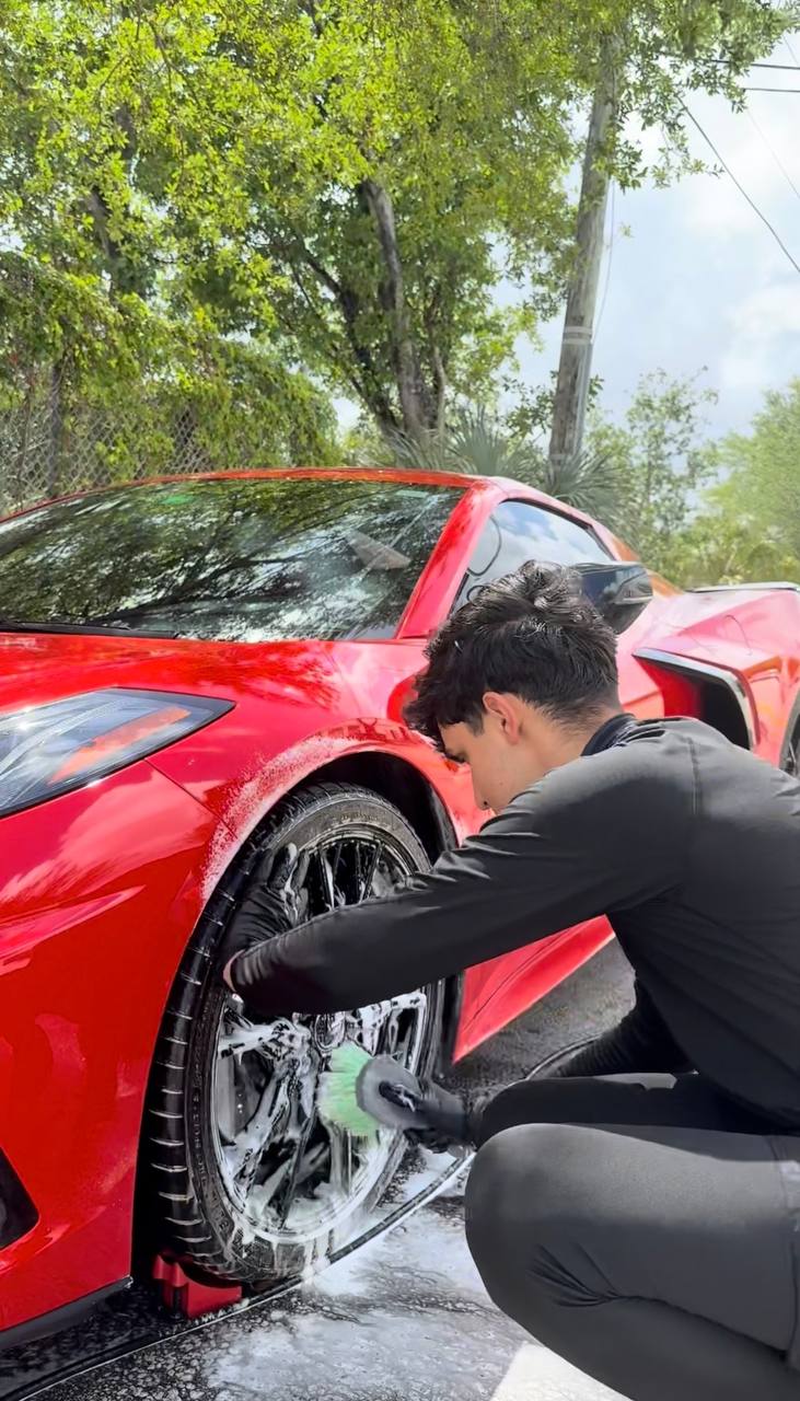 Professional Auto Detailer at Work