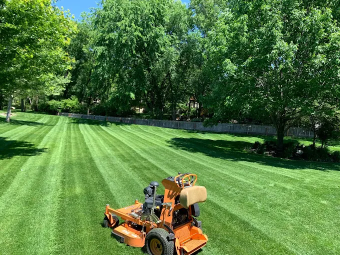 Complete yard transformation and sod installation Des Moines Complete yard transformation and sod installation Des Moines