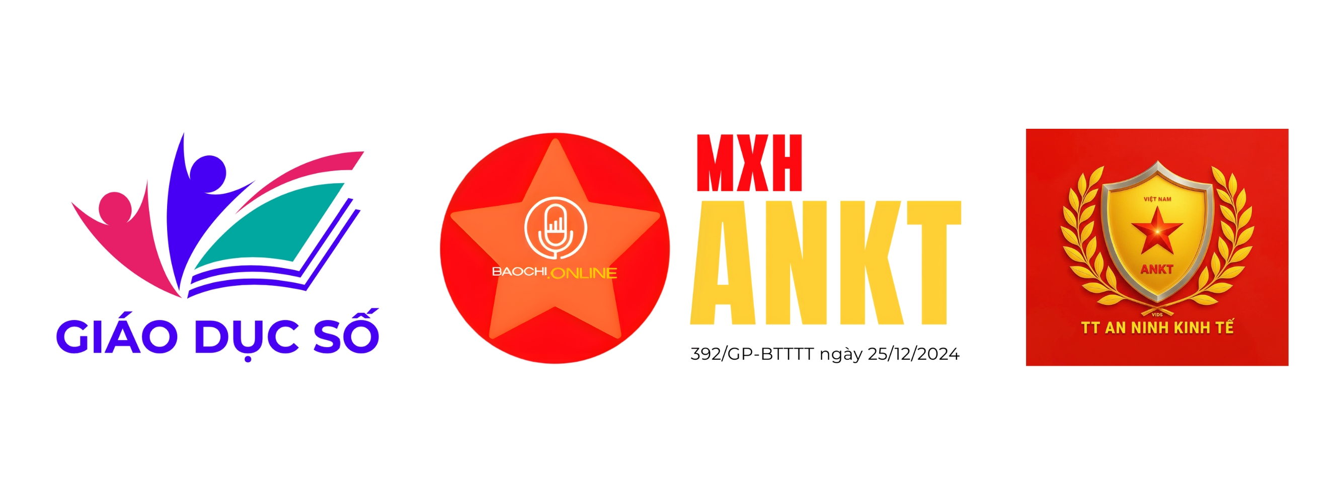 Tổ chức bảo trợ và đồng hành