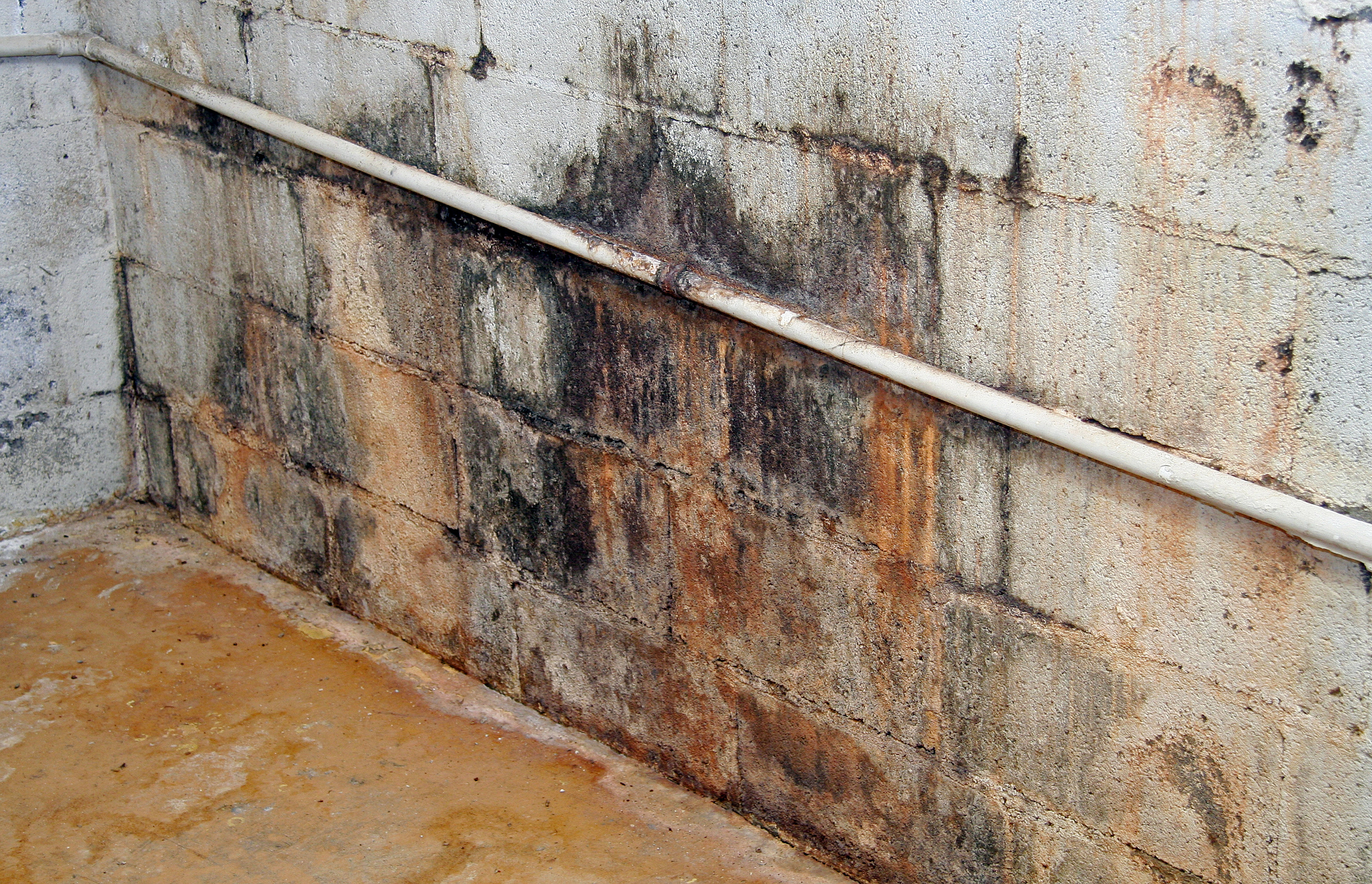 Platinum Waterproofing crew at work