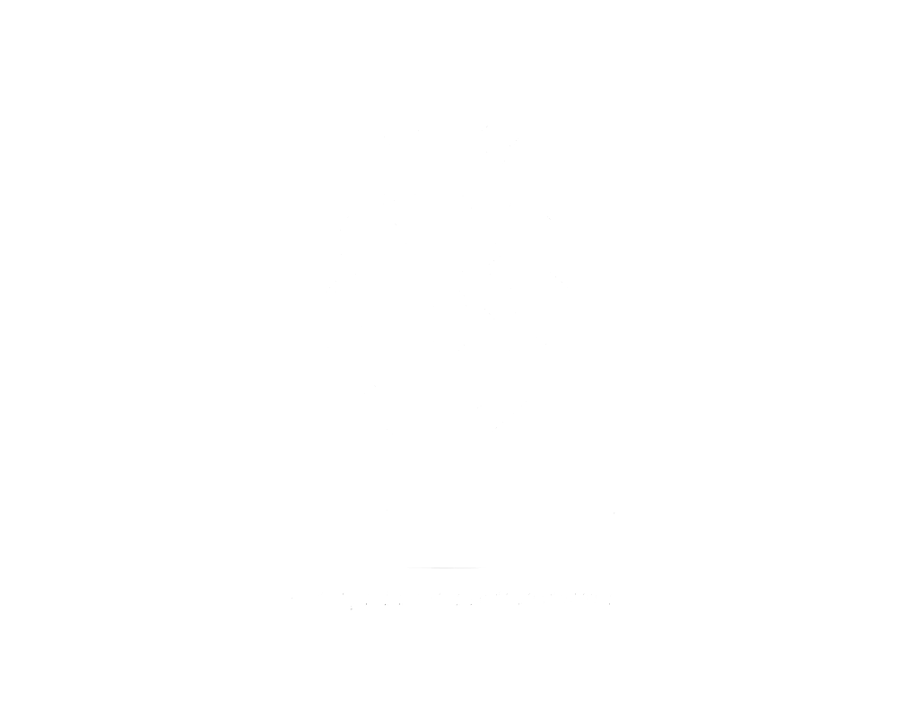 Tintas Lion Colors