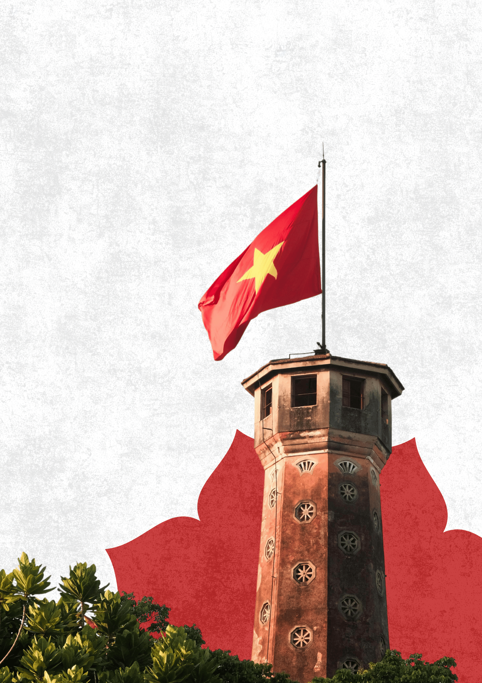 Banner Design