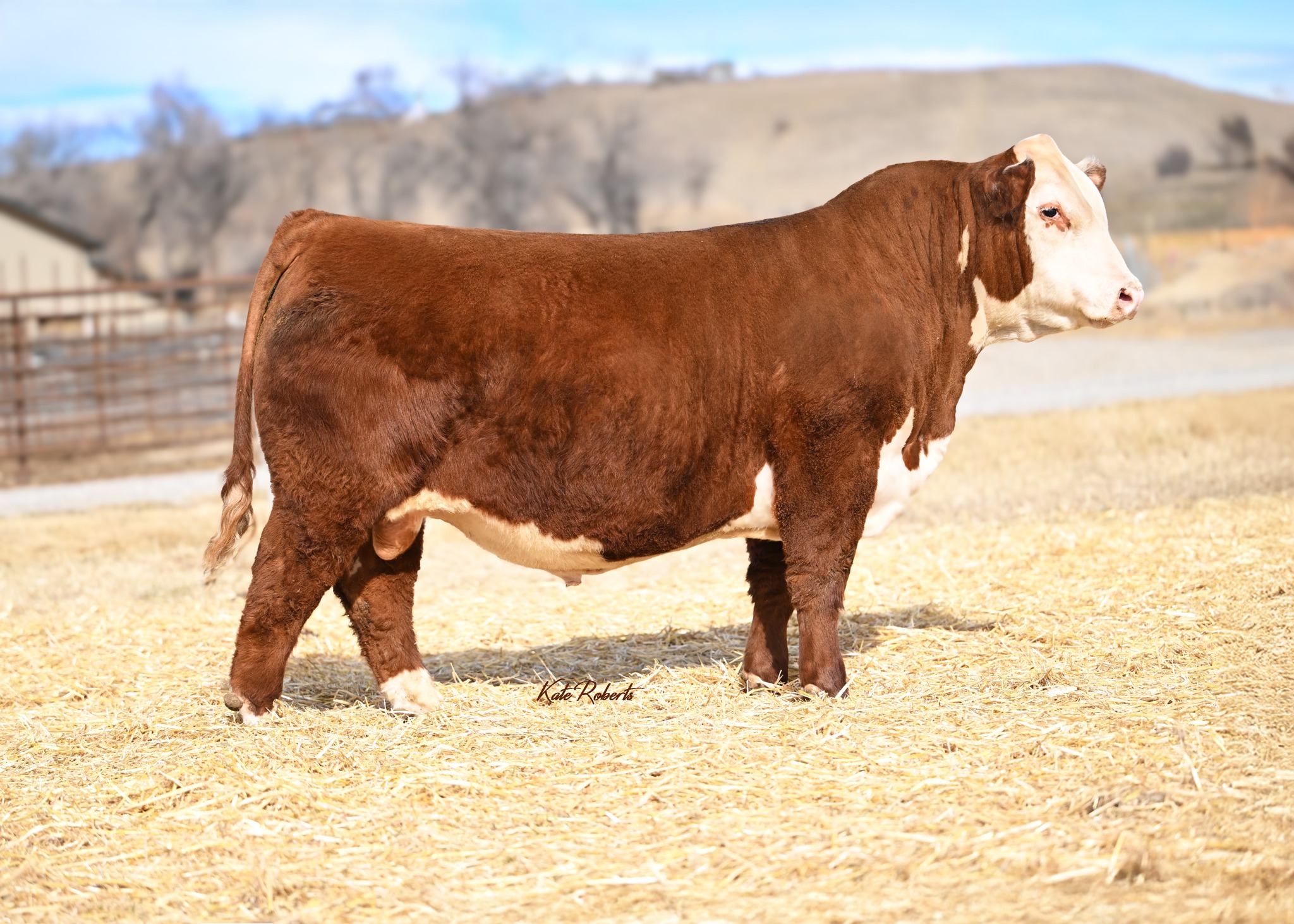 CHURCHILL LEGACY 5117N ET