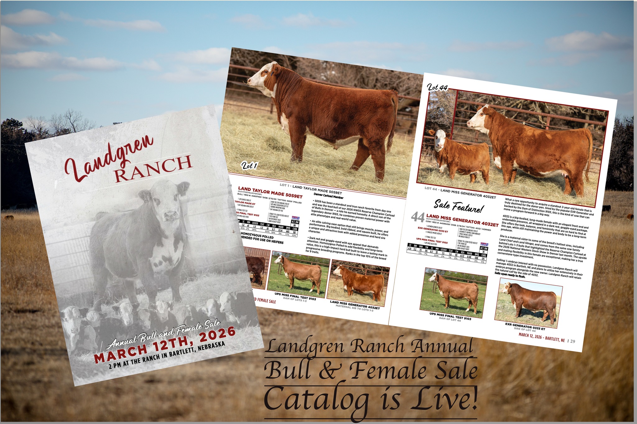 Buyers Evaluating Lots Before the Sale