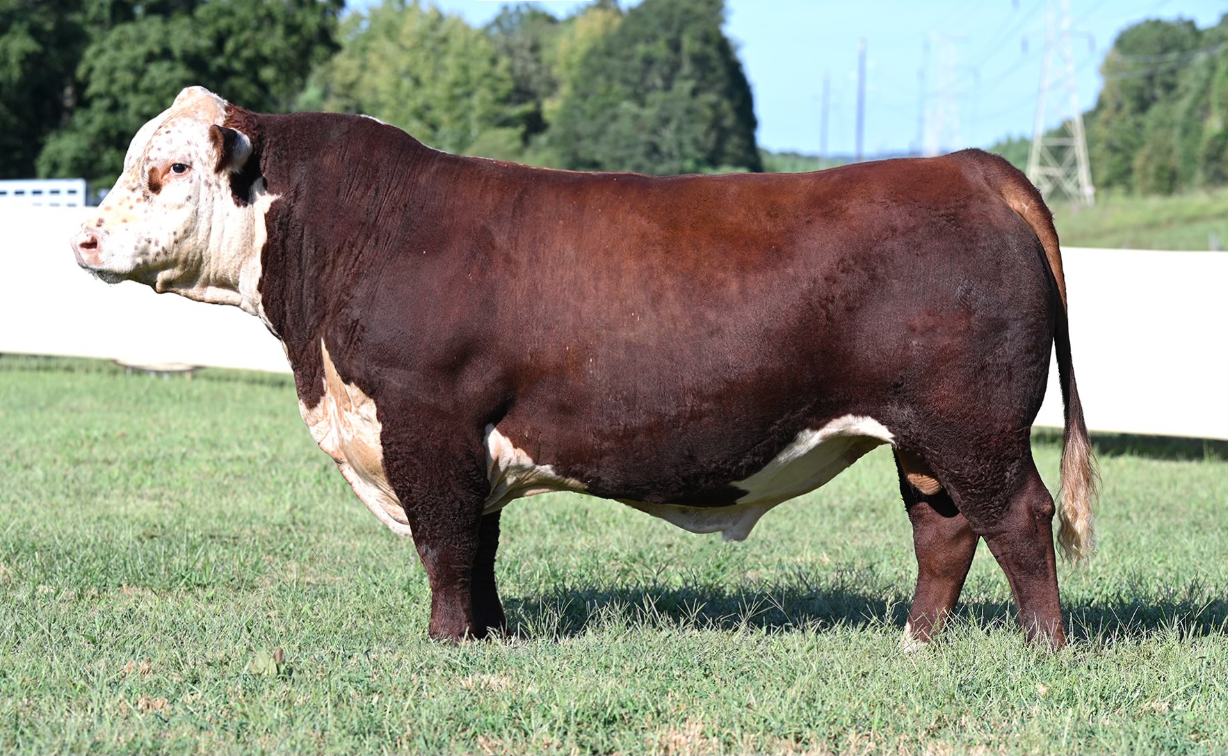 CHURCHILL EQUITY 3316L ET