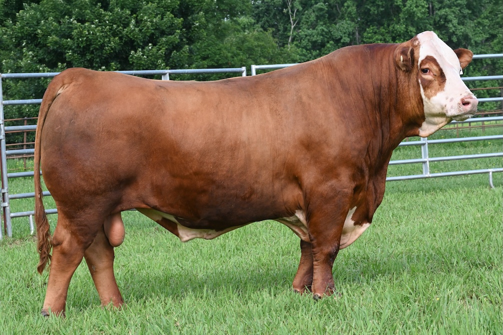 SFCC TRM MANDATE 3047