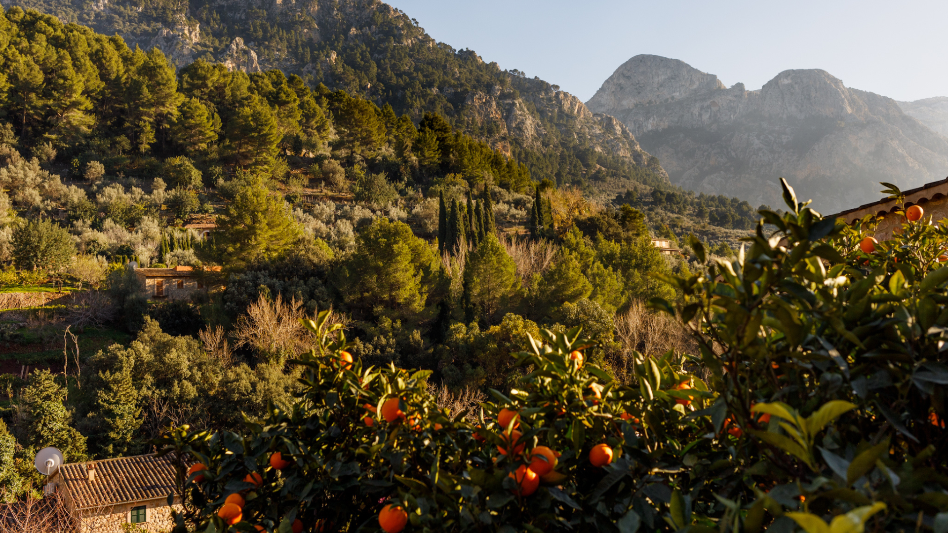 Mallorca — An Island That Inspires Artists