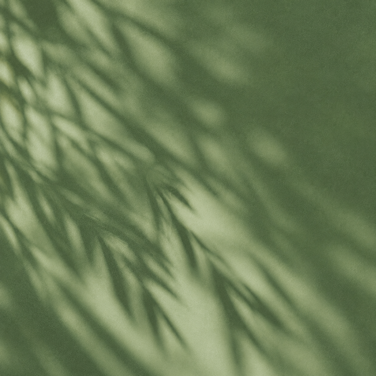 Soft blurred green bamboo leaves texture background
