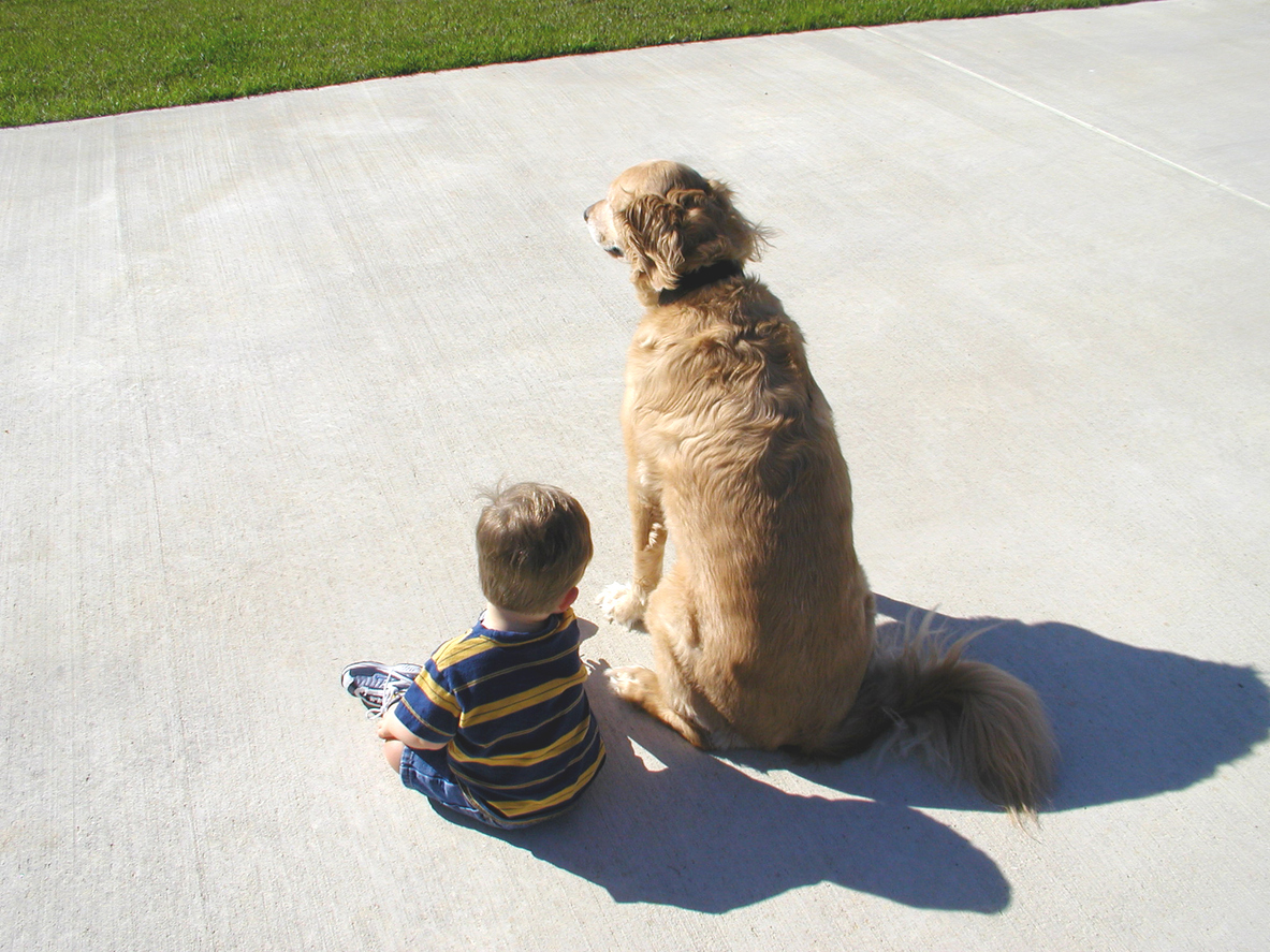Family dog enjoying outdoor concrete patio space in Charleston SC showing pet-friendly durable concrete solutions for homes