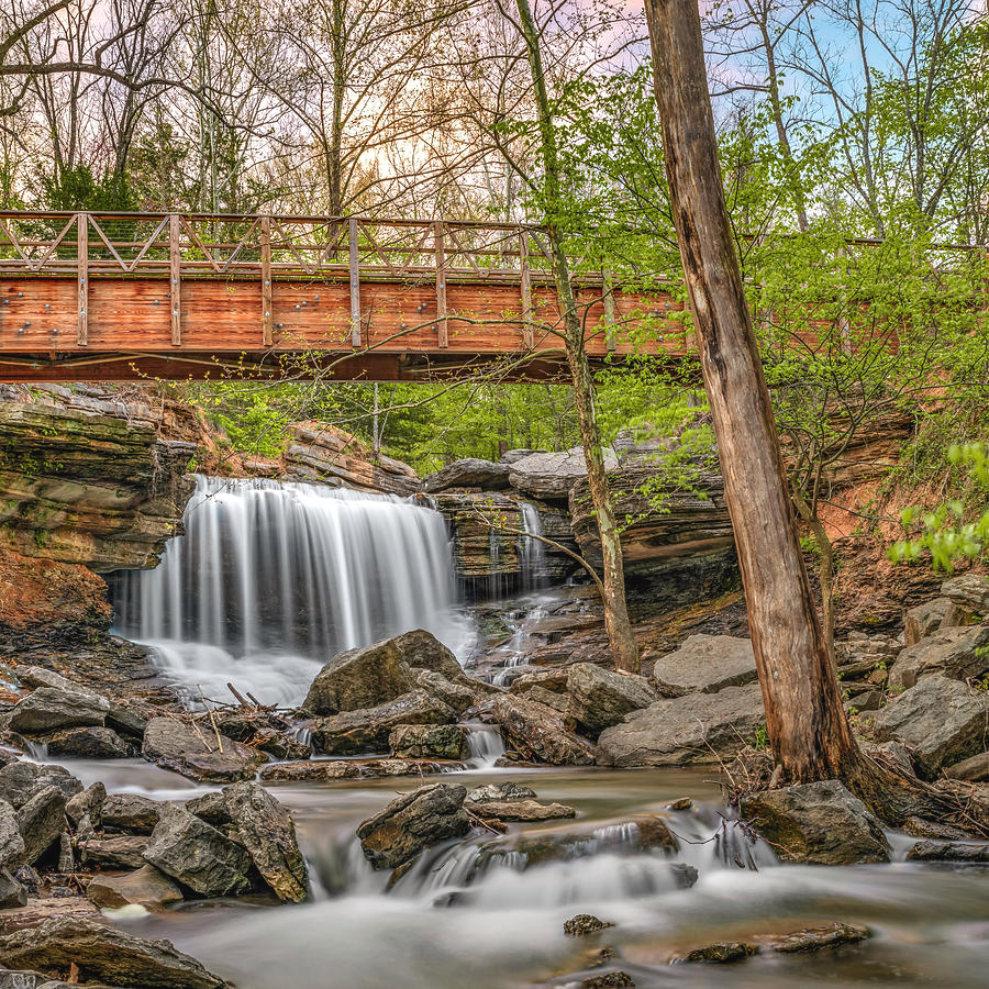 Beautiful Bella Vista Arkansas scenery near trauma counseling services