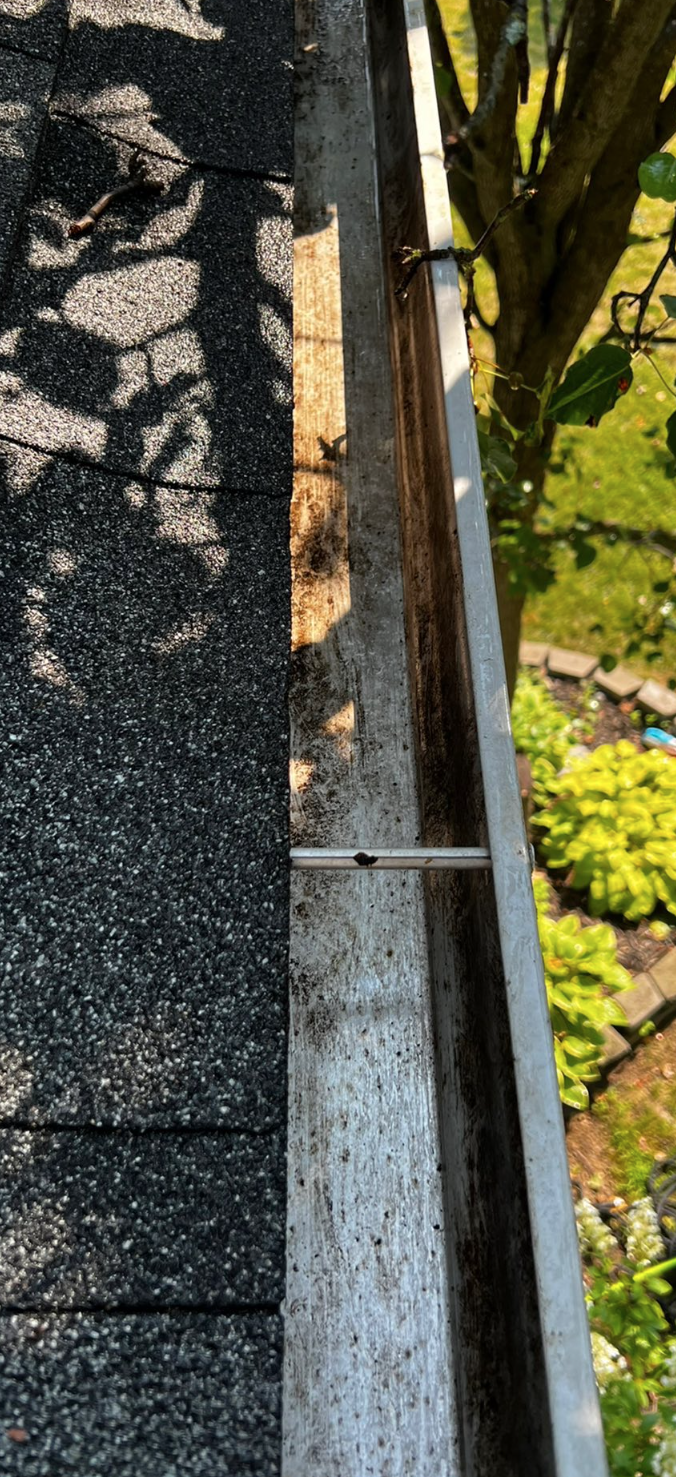 Gutter Cleaning