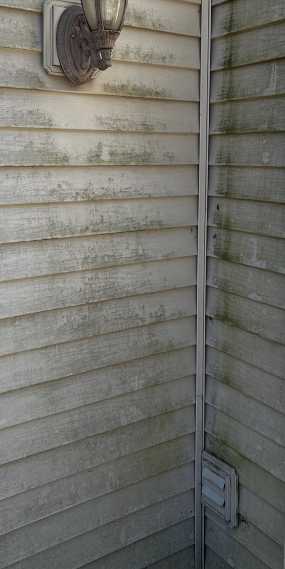 House Washing Before