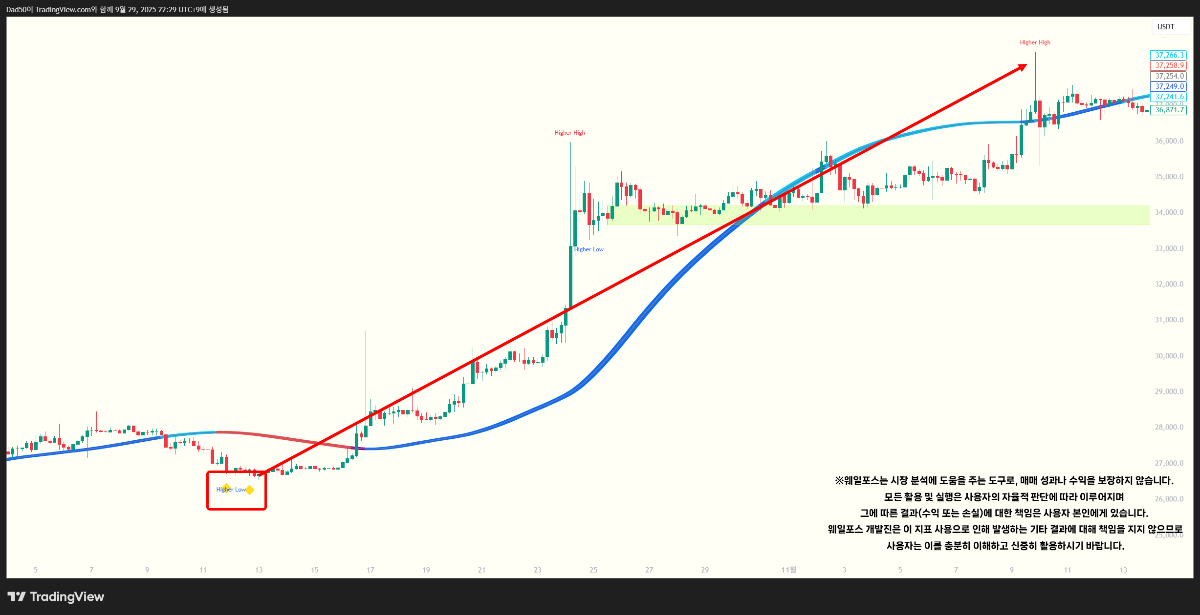 황금고래 신호 차트
