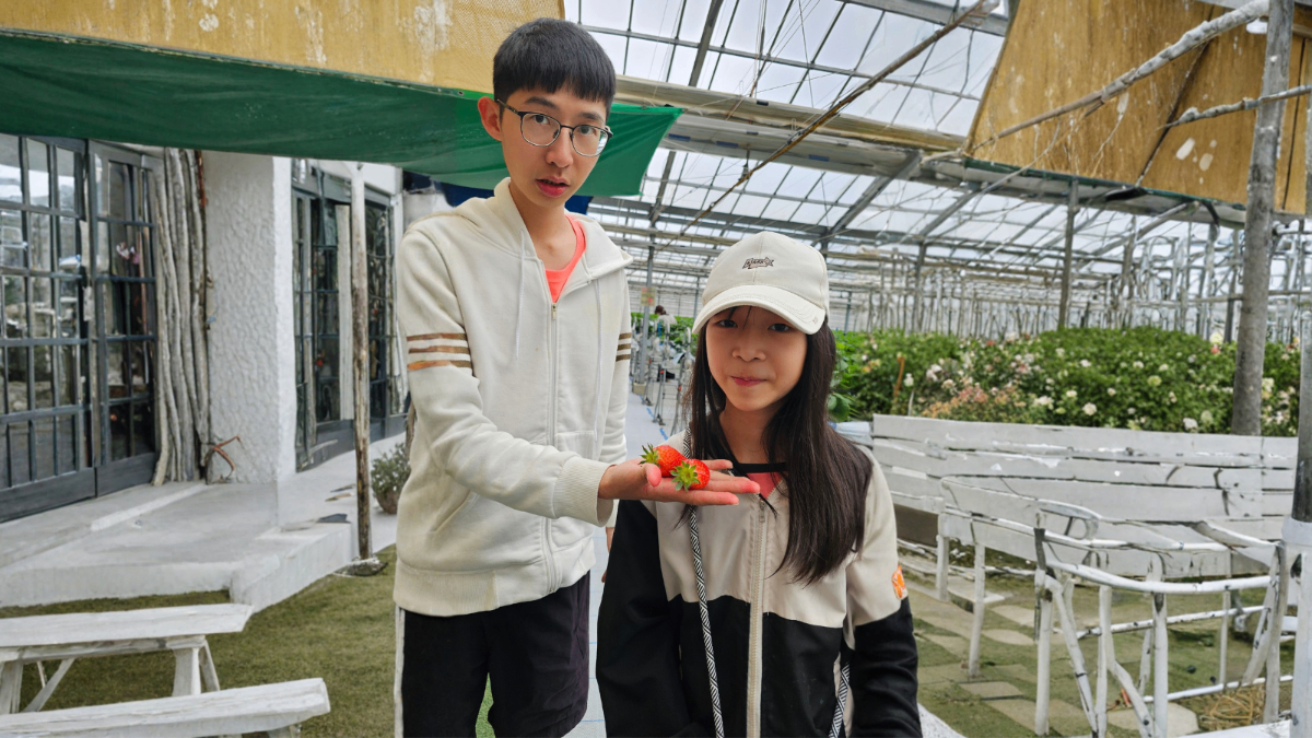 滑雪進階與採果樂