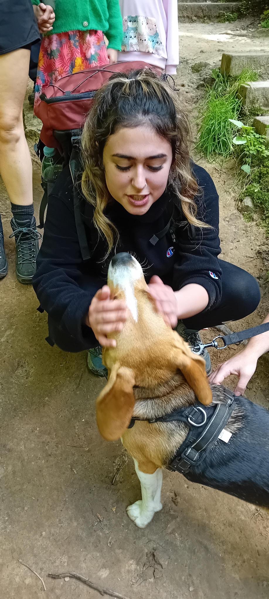 Rescued animals with personalized collars at Asyl Animaux Luxembourg
